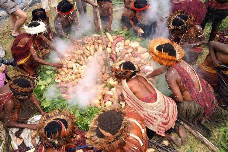 🔥 Upacara Bakar Batu: Tradisi Hangat dari Tanah Papua