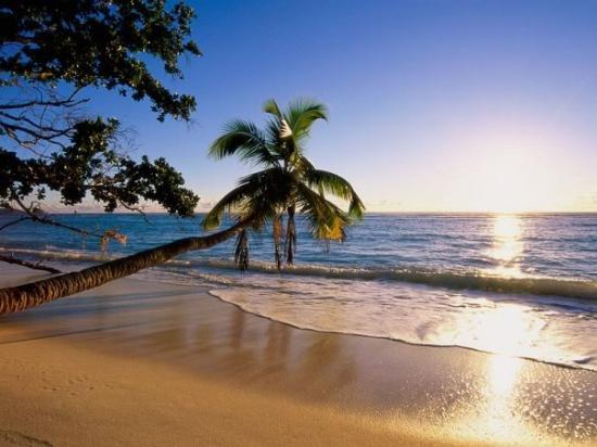 🌴 Temukan Surga Tersembunyi di Timur Indonesia: Pantai Pasir Putih Manokwari 🏖️